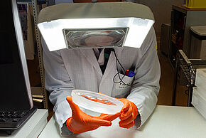 Agrandir l'image, fenêtre modale