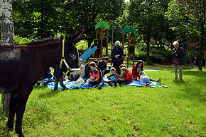 Agrandir l'image, fenêtre modale