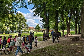 Agrandir l'image, fenêtre modale