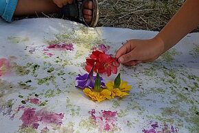 Agrandir l'image, fenêtre modale