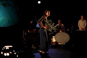 Agrandir l'image, fenêtre modale