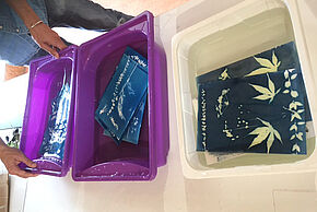 Agrandir l'image, fenêtre modale