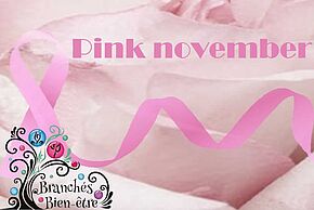 Pink november - Roissy-en-Brie - Agrandir l'image, fenêtre modale