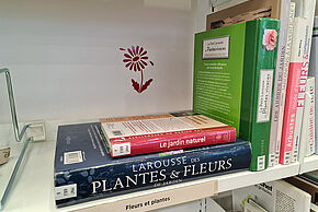 Agrandir l'image, fenêtre modale