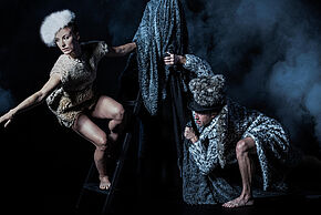 Agrandir l'image, fenêtre modale