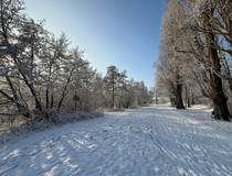 Agrandir l'image (fenêtre modale)