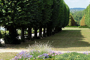 Parc du château de Champs - Agrandir l'image, fenêtre modale
