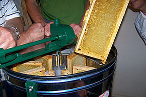 Agrandir l'image, fenêtre modale