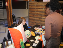 Agrandir l'image (fenêtre modale)