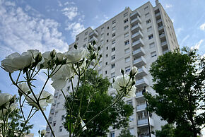 Agrandir l'image, fenêtre modale