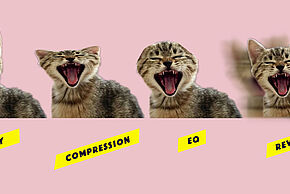 Agrandir l'image, fenêtre modale