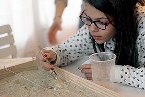 Agrandir l'image, fenêtre modale