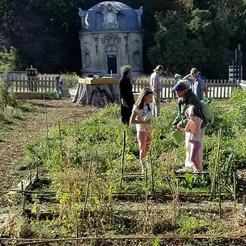 Jardin - Parc de Noisiel