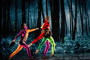 Ma Mère l'Oye - photo Agathe Poupeney/Photoscene.fr - Agrandir l'image, fenêtre modale