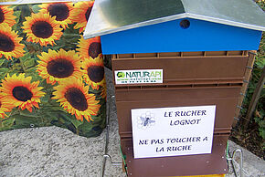 Le rucher Lognot - Agrandir l'image, fenêtre modale