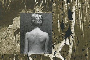 CIPF - Exposition  Barbara Breitenfellner - Agrandir l'image, fenêtre modale