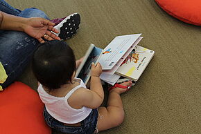 Agrandir l'image, fenêtre modale