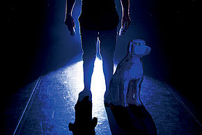 Agrandir l'image, fenêtre modale