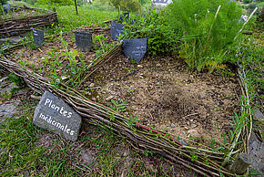 Agrandir l'image, fenêtre modale