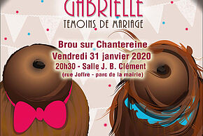 Agrandir l'image, fenêtre modale