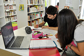 La grande révision - Agrandir l'image, fenêtre modale