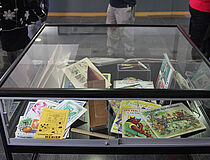 Agrandir l'image (fenêtre modale)