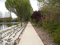 Agrandir l'image (fenêtre modale)