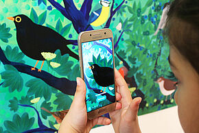 Agrandir l'image, fenêtre modale