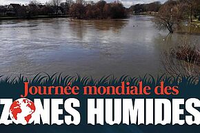 JMZH - Découverte des Îles de Chelles - Agrandir l'image, fenêtre modale