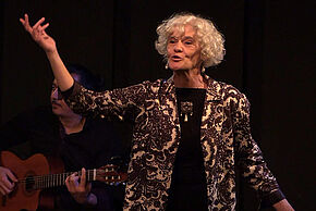 Agrandir l'image, fenêtre modale