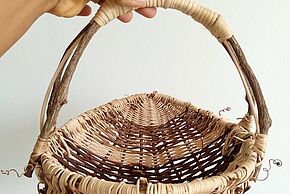 Agrandir l'image, fenêtre modale