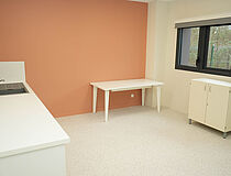 Agrandir l'image (fenêtre modale)