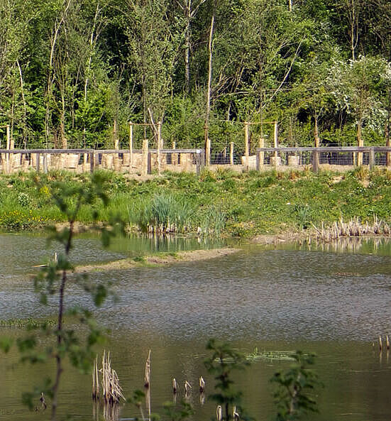 Mail des îles à Torcy