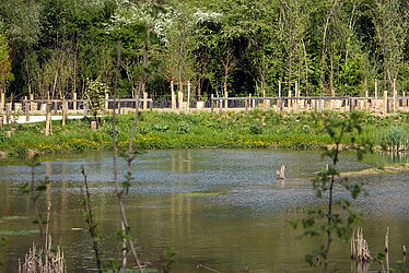 Mail des îles à Torcy