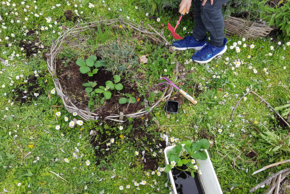 Agrandir l'image, fenêtre modale