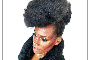 Agrandir l'image, fenêtre modale