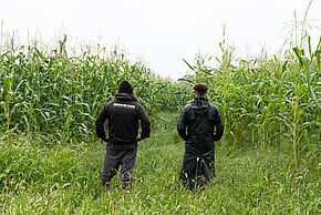 Agrandir l'image, fenêtre modale