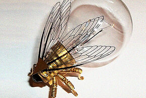 Agrandir l'image, fenêtre modale