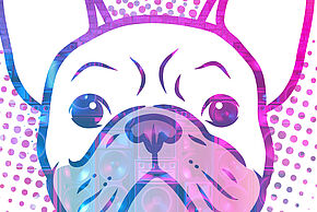 Agrandir l'image, fenêtre modale