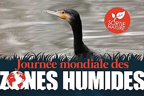 JMZH - Étang du Coq - Agrandir l'image, fenêtre modale