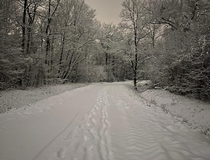 Agrandir l'image (fenêtre modale)