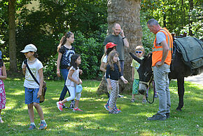 Agrandir l'image, fenêtre modale