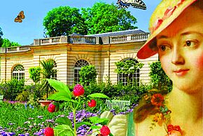 Agrandir l'image, fenêtre modale