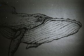 Agrandir l'image, fenêtre modale