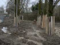 Agrandir l'image (fenêtre modale)