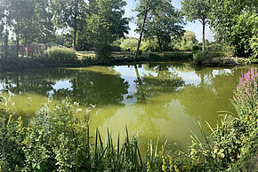 Agrandir l'image, fenêtre modale