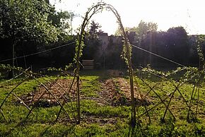 Agrandir l'image, fenêtre modale