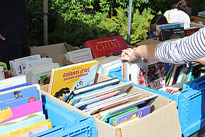 Agrandir l'image, fenêtre modale