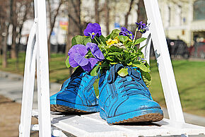 Agrandir l'image, fenêtre modale