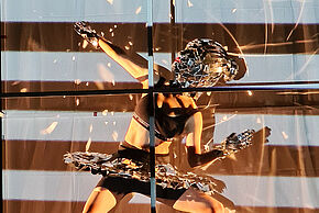 Agrandir l'image, fenêtre modale